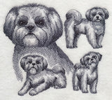 Shih Tzu Sketch