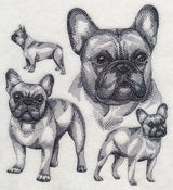 French Bulldog Sketch
