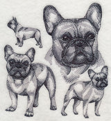 French Bulldog Sketch