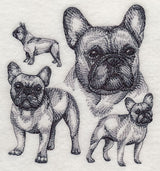 French Bulldog Sketch