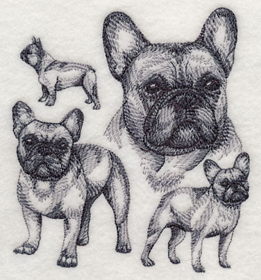 French Bulldog Sketch