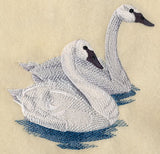 Trumpeter Swans on the Lake