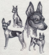 Toy Fox Terrier Sketch