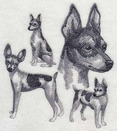 Toy Fox Terrier Sketch