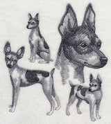 Toy Fox Terrier Sketch