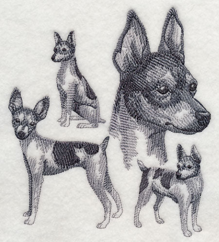 Toy Fox Terrier Sketch
