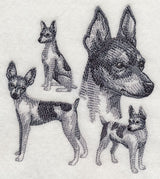 Toy Fox Terrier Sketch