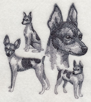 Toy Fox Terrier Sketch