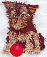 Yorkshire Terrier Puppy