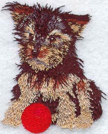 Yorkshire Terrier Puppy