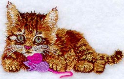 Kitten with Toy