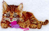 Kitten with Toy