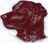 Black Labrador Retriever Head
