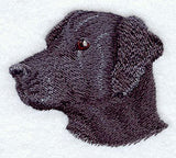 Black Labrador Retriever Head
