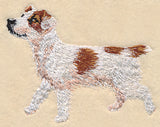 Jack Russell Terrier