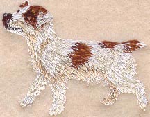 Jack Russell Terrier