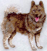 Norwegian Elkhound