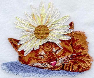 Kitten W/Flower