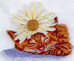 Kitten W/Flower