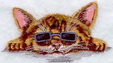 Kitten with Shades