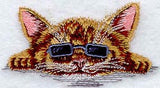 Kitten with Shades
