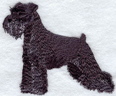 Schnauzer