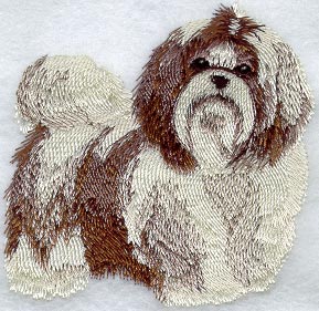 Shih Tzu