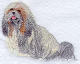 Lhasa Apso