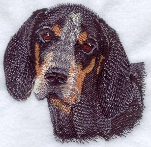 Bluetick Coonhound