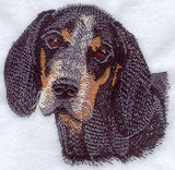 Bluetick Coonhound