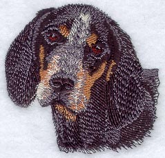Bluetick Coonhound