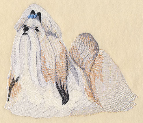 Shih Tzu - Show Stance