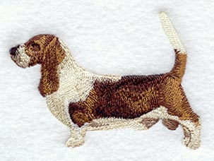 Basset Hound - Show Stance