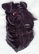 Kerry Blue Terrier Head