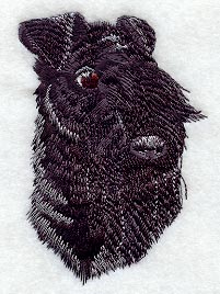 Kerry Blue Terrier Head