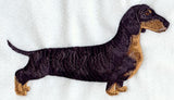 Dachshund - Smooth