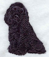 American Cocker Spaniel