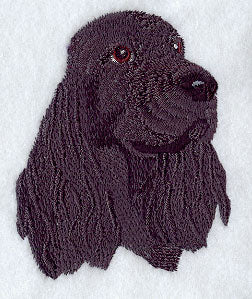 American Cocker Spaniel Head