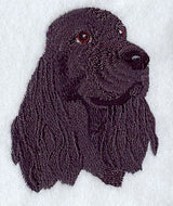 American Cocker Spaniel Head