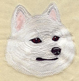 Portrait of American Eskimo