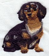 Dachshund - Longhair