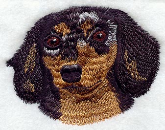 Dachshund Head - Longhair