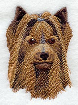 Yorkshire Terrier Head