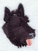 Scottish Terrier Head