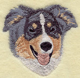 Australian Shepherd Head
