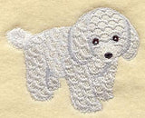 Poodle Puppy