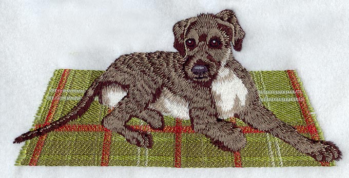 Irish Wolfhound Puppy