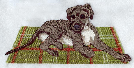 Irish Wolfhound Puppy