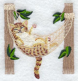 Kitty in Hammock