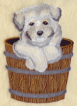 Havanese Puppy & Bucket